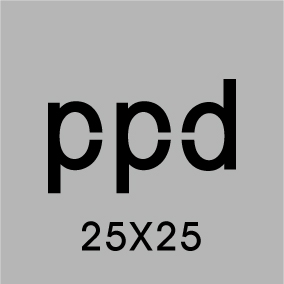 德PPD紙巾-25X25
